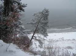 winterurlaub-insel-usedom-ostsee-koserow-winter